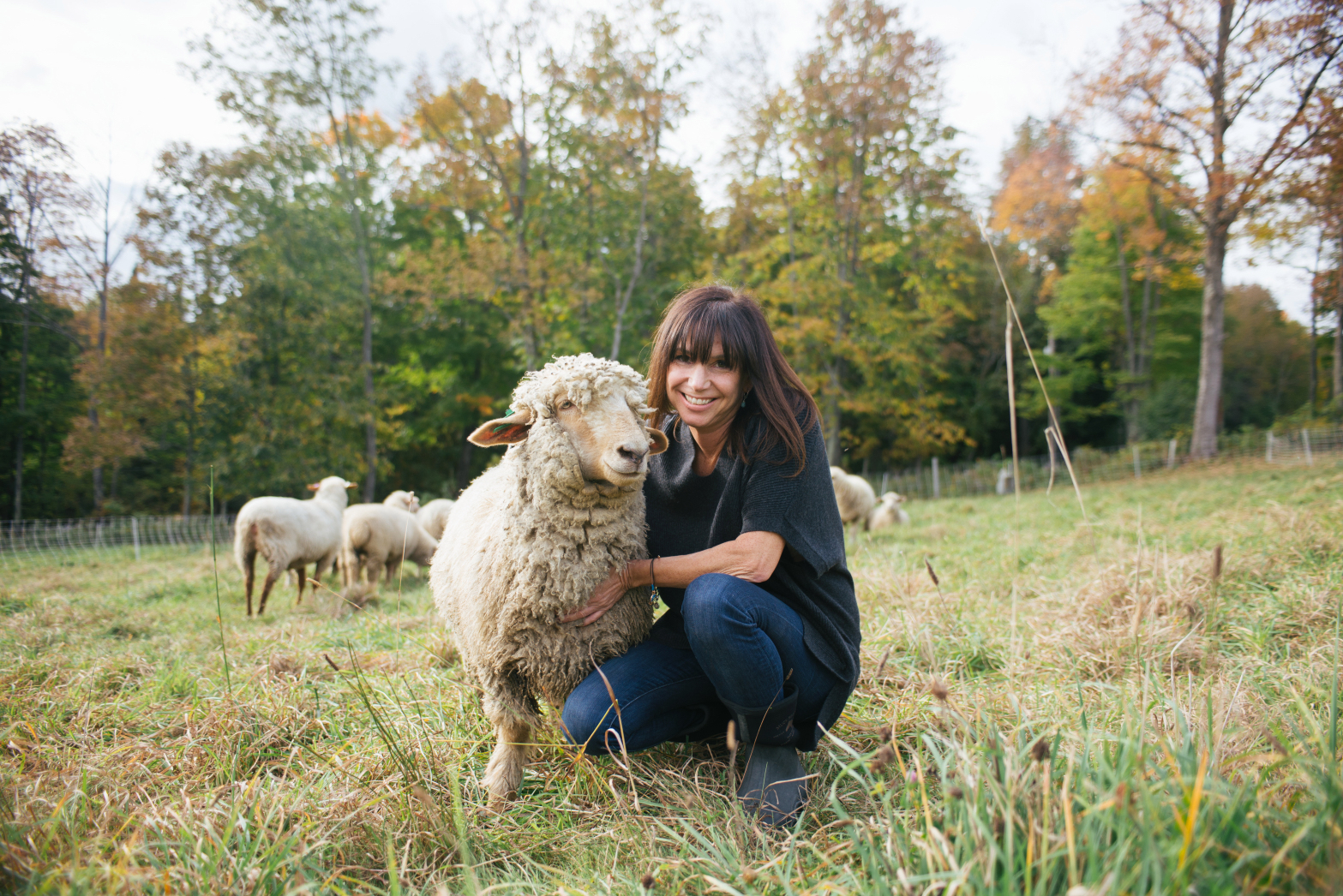 Farmageddon: The Unseen War of American Family Farms