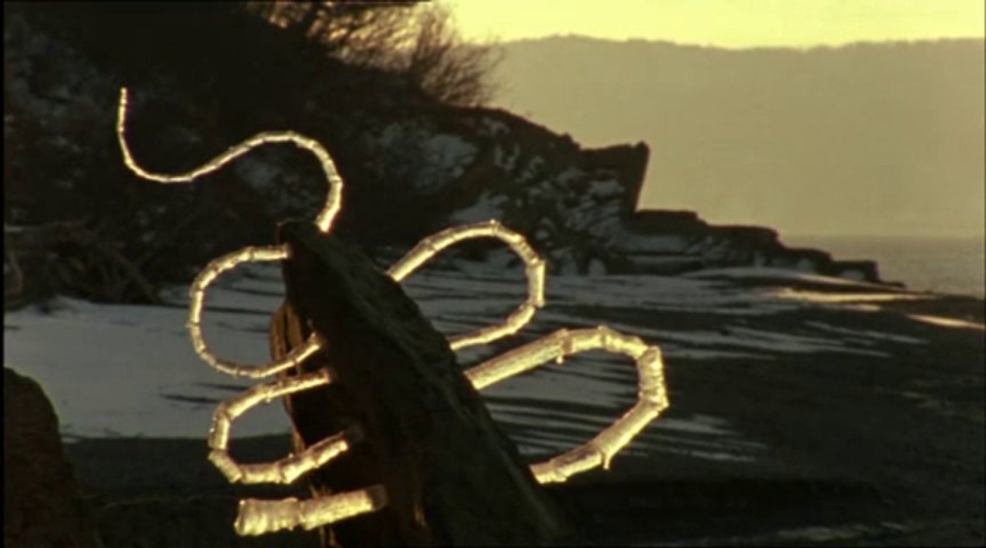 Rivers and Tides: Andy Goldsworthy Working with Time