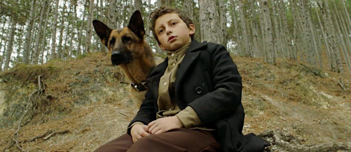 Shepherd: The Story of a Jewish Dog