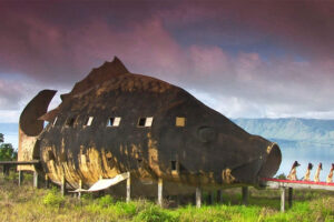 The Act of Killing