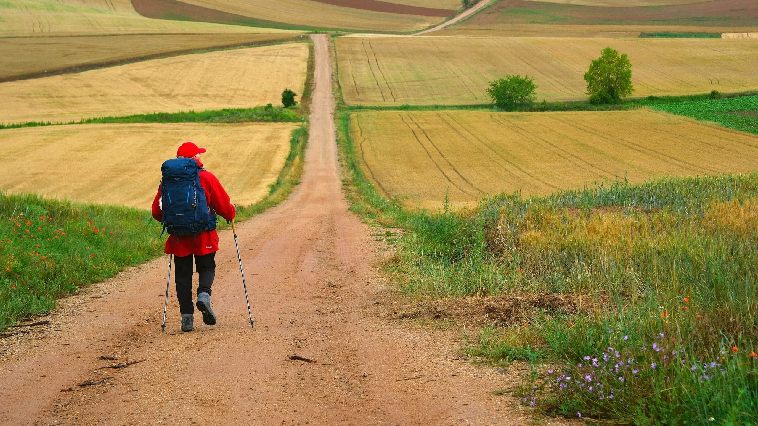 The Way, My Way The Way, My Way