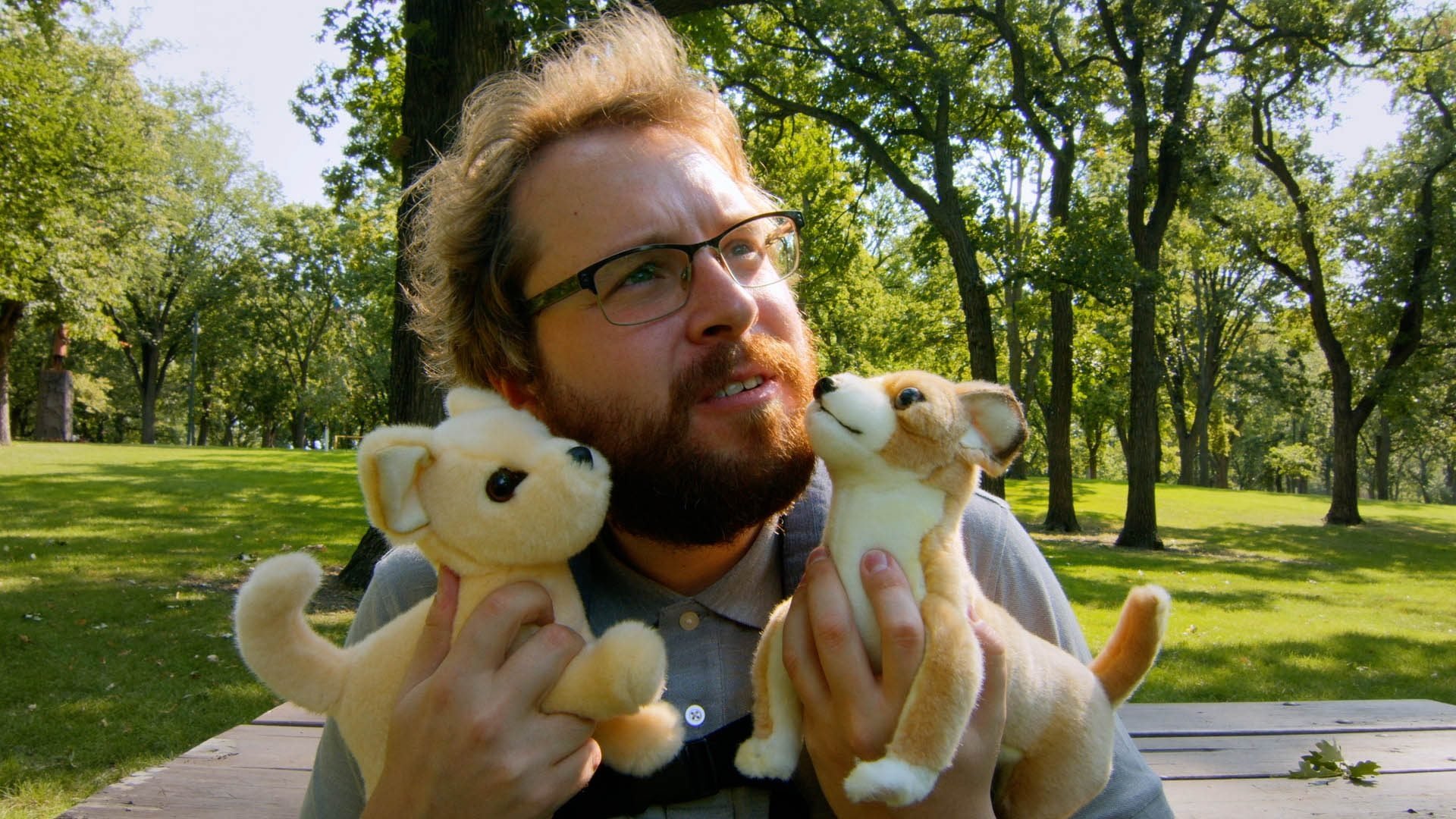 aj goes to the dog park