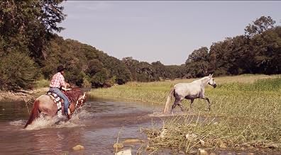 wildfire: the legend of the cherokee ghost horse