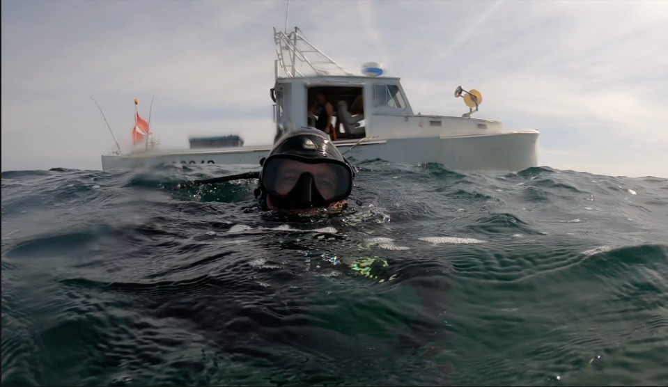 in the whale: the greatest fish story ever told