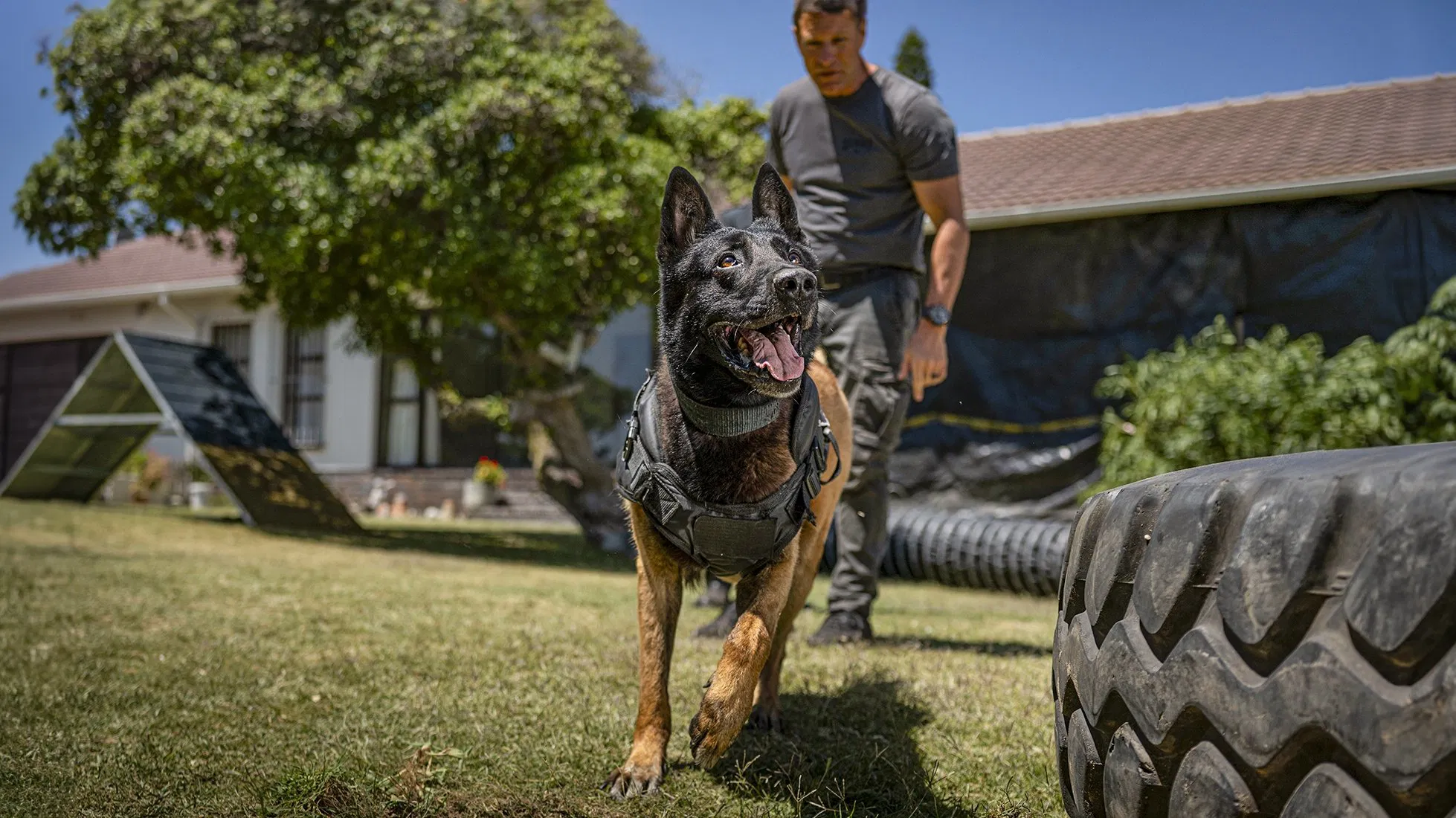 muzzle: city of wolves