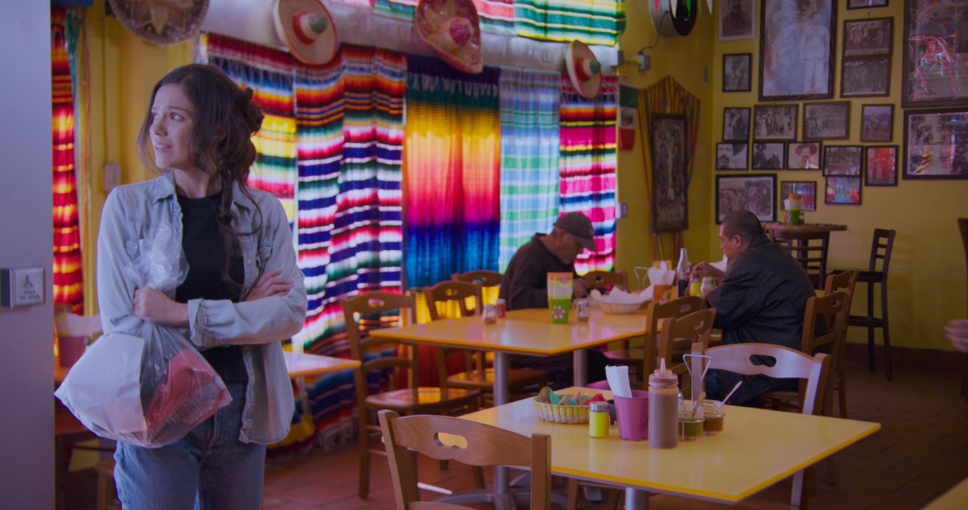 The Dreamer Cinderella