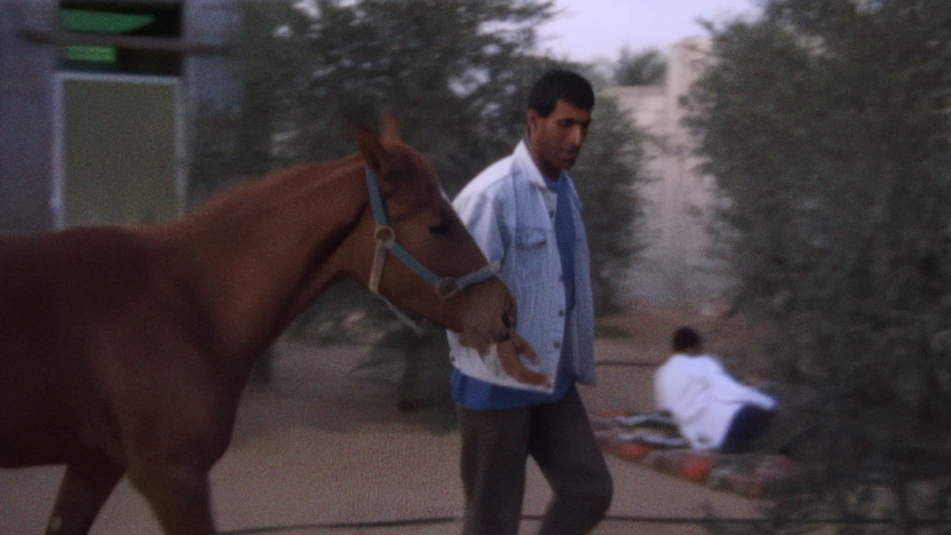 With Hasan in Gaza